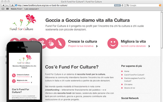 Fund For Culture